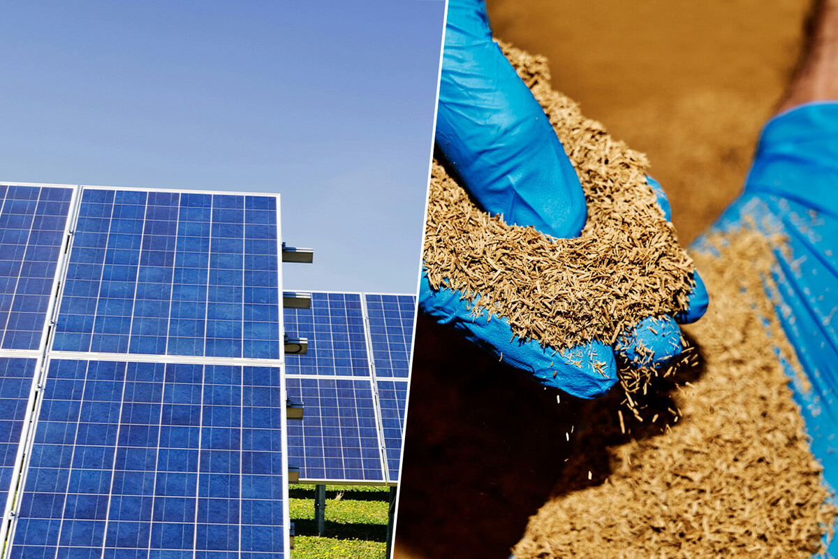 biomassa fotovoltaica, pannelli solari in legno, sostenibilità fotovoltaica, energia solare ulivi, economia circolare energia.