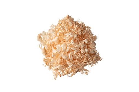 biomassa fotovoltaica, pannelli solari in legno, sostenibilità fotovoltaica, energia solare ulivi, economia circolare energia.